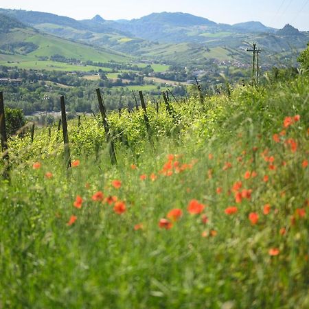 Agriturismo Oinoe Bed & Breakfast Traversetolo Екстериор снимка