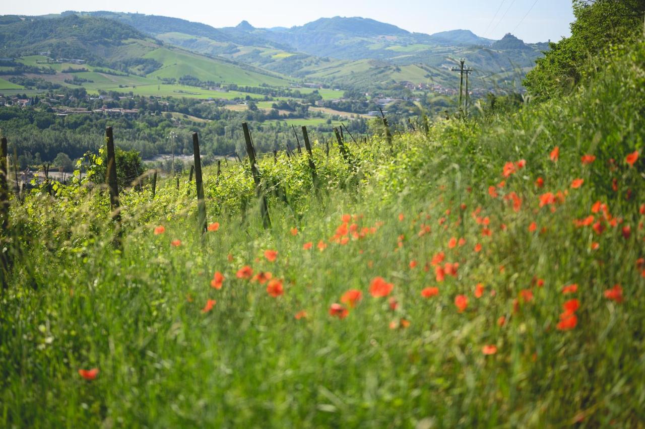 Agriturismo Oinoe Bed & Breakfast Traversetolo Екстериор снимка